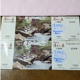 湯あみの島入場券(遊園地/テーマパーク)