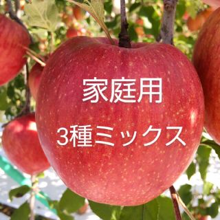 信州産 りんご「あいかの香り」「シナノゴールド」「サンふじ」(家庭用) ミックス(フルーツ)