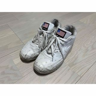 ナイキ 星条旗 スニーカー(メンズ)の通販 100点以上 | NIKEのメンズを