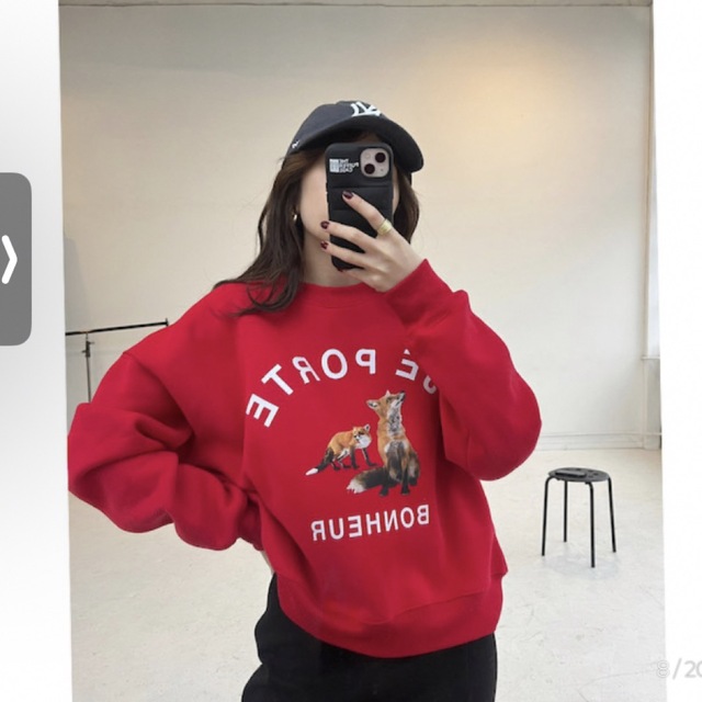 ZARA(ザラ)のキツネスウェット メンズのトップス(スウェット)の商品写真