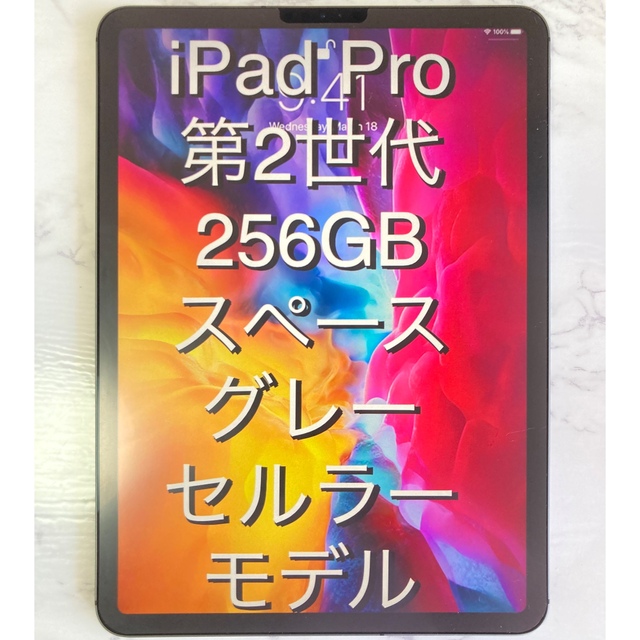 iPad - Apple iPad Pro 第2世代 256GB セルラー スペースグレー