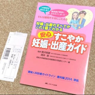 安心すこやか妊娠・出産ガイド(その他)