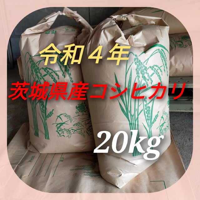 令和４年新米　茨城県産コシヒカリ　玄米20kg　米/穀物