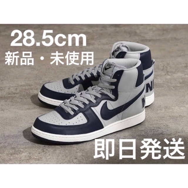 【新品】Nike Terminator Georgetown 28cm