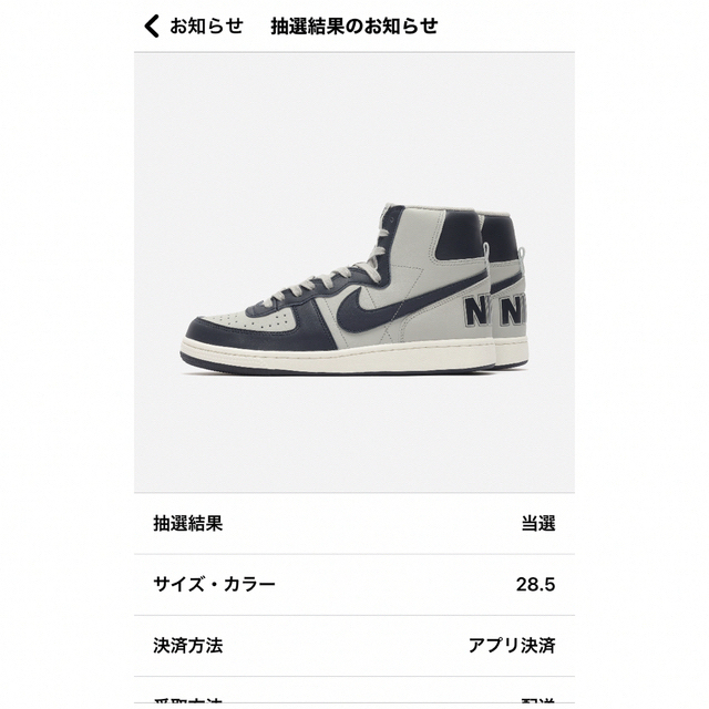 Nike Terminator High Georgetown ターミネータ