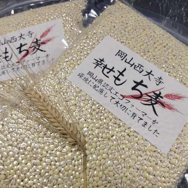 岡山西大寺幸せもち麦(キラリモチ)2キロ(1キロ×2) 食品/飲料/酒の食品(米/穀物)の商品写真