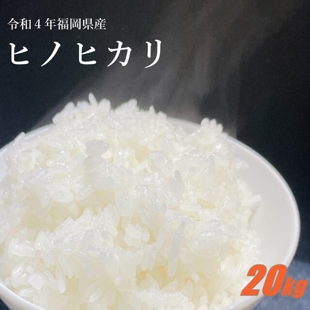 ヒノヒカリ　20kg　4年産　白米　米/穀物