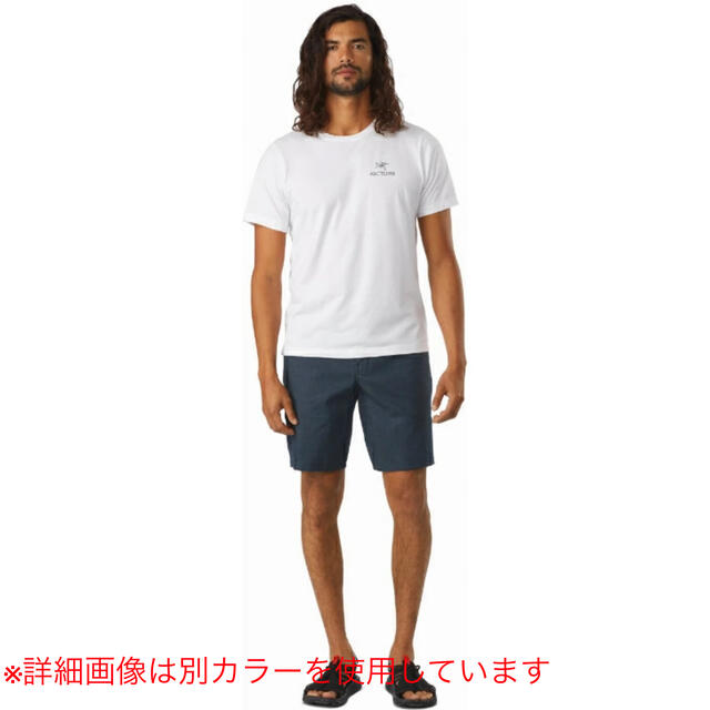 ARC'TERYX(アークテリクス)のARCTERYX アークテリクス Atlin Chino Short  30 メンズのパンツ(ショートパンツ)の商品写真