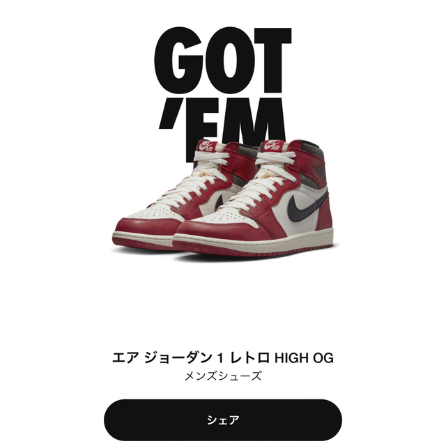 30cm NIKE Air Jordan 1 High OG シカゴ