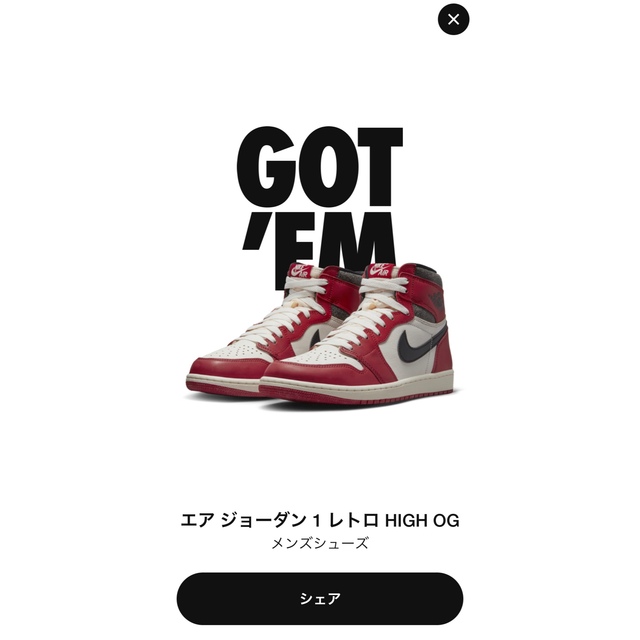 Nike Air Jordan 1 High OG Chicago 27㎝