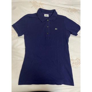 ラコステ(LACOSTE)のラコステ　レディース　ポロシャツ　３８　ネイビー(ポロシャツ)