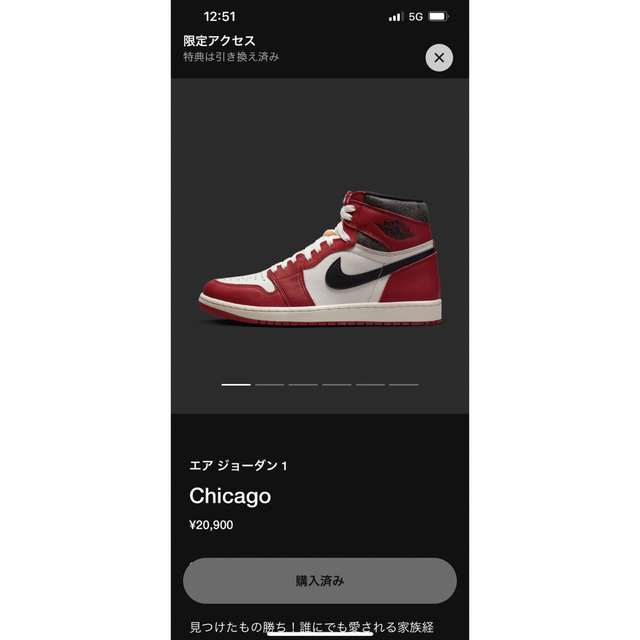 NIKE AIR JORDAN 1 RETRO Chicago 29cm