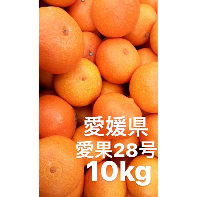 愛媛県産　愛果28号　柑橘　10kg