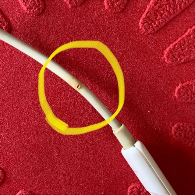 Apple(アップル)のiPhone 純正　イヤフォンジャック　ケース付き　劣化あり スマホ/家電/カメラのスマホアクセサリー(ストラップ/イヤホンジャック)の商品写真