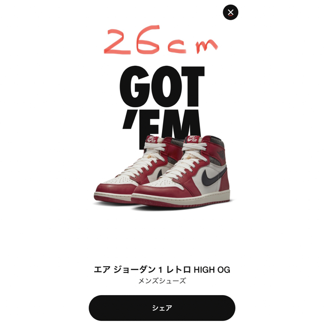 NIKE  AIR JORDAN CHICAGO ジョーダン1 26cm