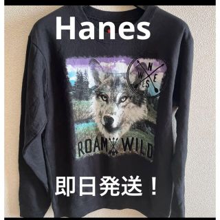 ヘインズ(Hanes)のヘインズ　Hanes ロンT(Tシャツ/カットソー(七分/長袖))