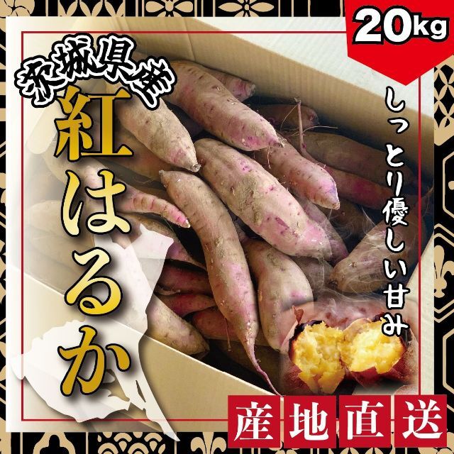 20kg・中】茨城県産 さつまいも 紅はるか 超 熟成 サツマイモ 土つき