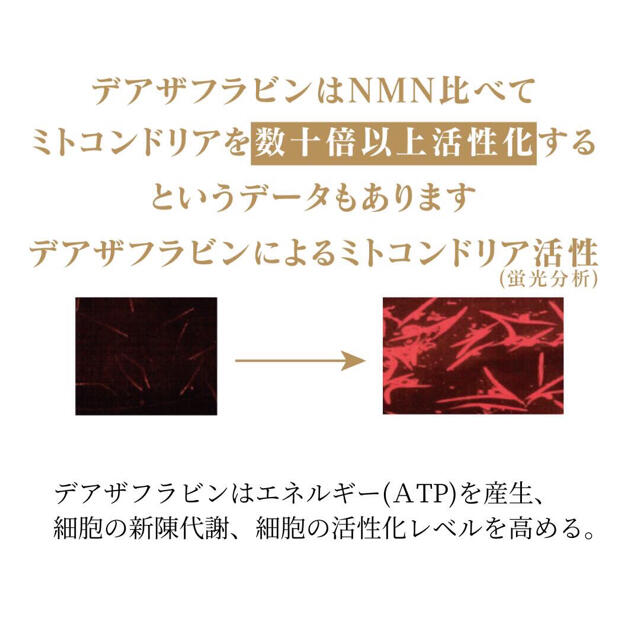 【お得な3本セット】デアザフラビン ➕5-ALA 1粒NMN1200mg相当