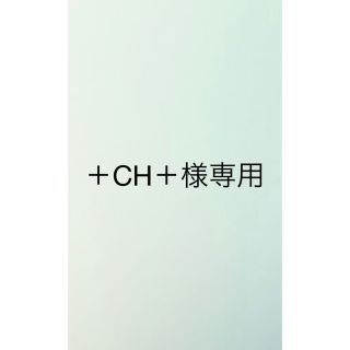 ＋CH＋様専用(その他)