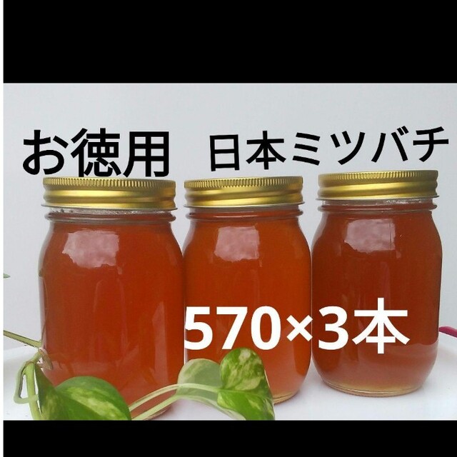 はちみつお徳用 日本ミツバチの蜂蜜 (570×3本)