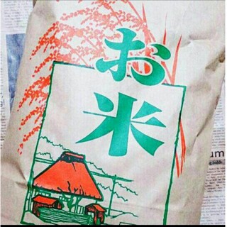 令和4年 新米 コシヒカリ 10kg 精米 白米(米/穀物)