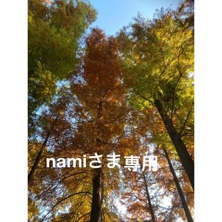 アリスバーリー(Aylesbury)のnami様専用（スーツとメガネ枠）(スーツ)