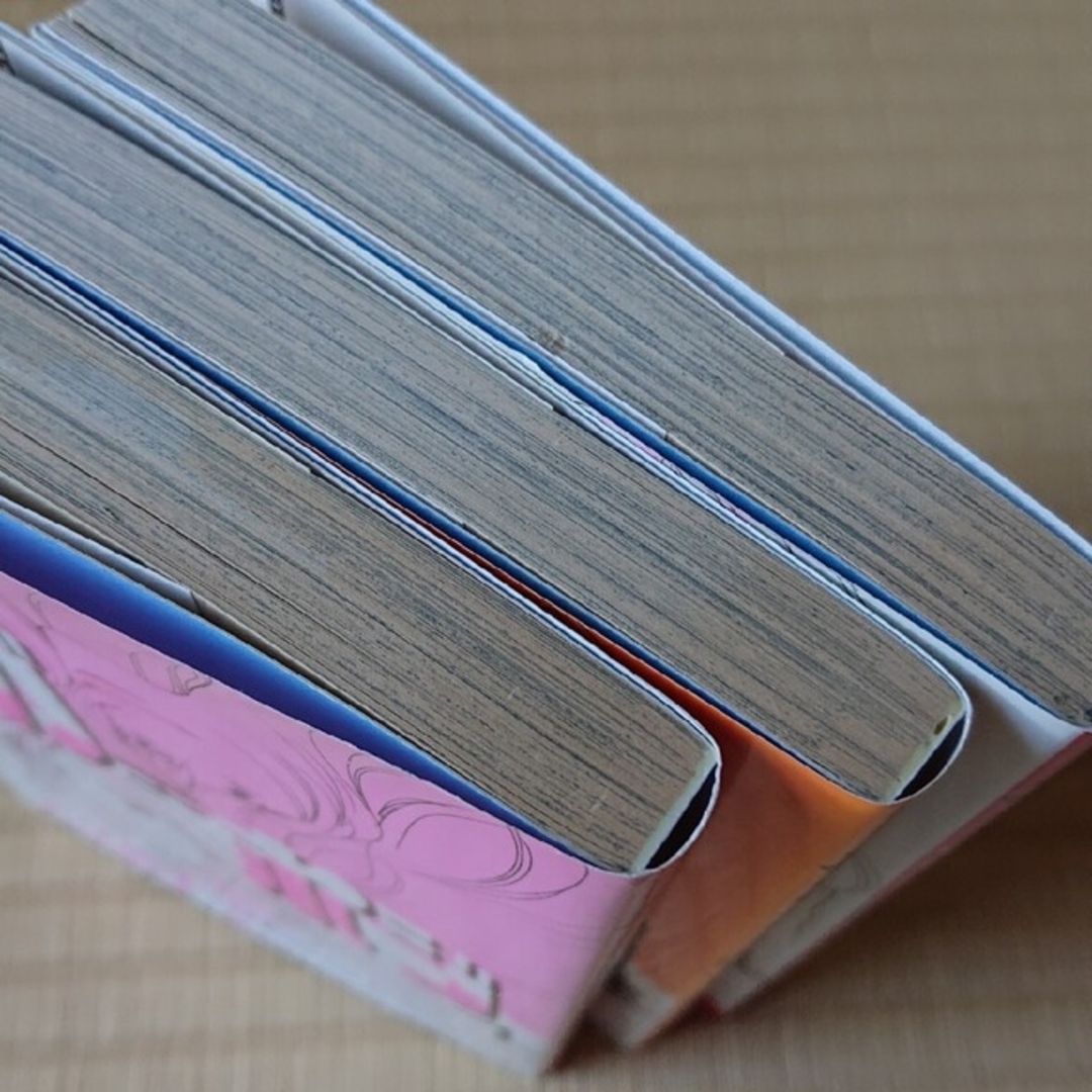 ちょみ様専用『ネガポジ』他全6冊