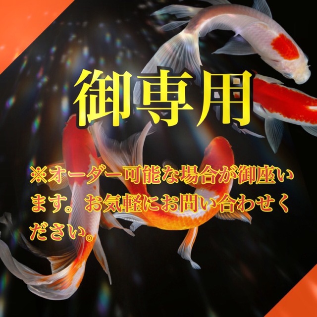 お客様専用◆❖金運と健康御守り❖◆ お守り 白蛇 蛇 帯封 高額当選 | フリマアプリ ラクマ