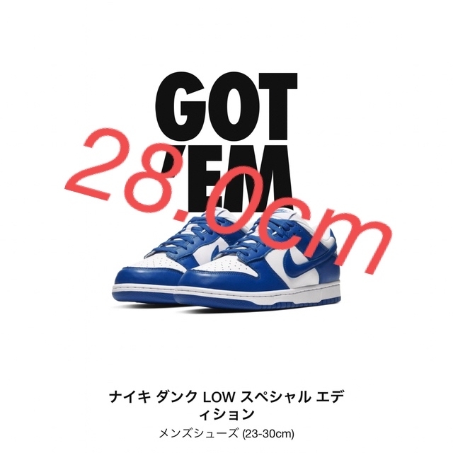 Nike Dunk Low Varsity Royal​  28.0cm