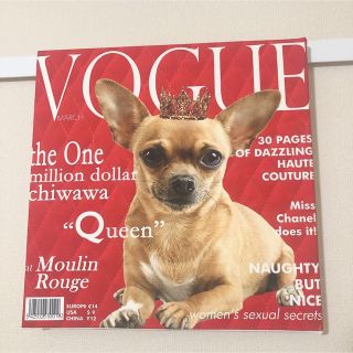 フランフラン(Francfranc)の★ヨーロッパ★アートパネル壁画チワワ犬赤(パネル)