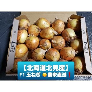 北海道 北見産 ミニ 新玉ねぎ ◎農家直送(野菜)