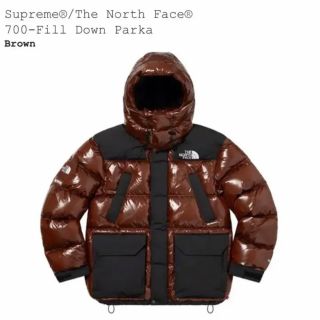 シュプリーム(Supreme)のSupreme The North Face Down Parka(ダウンジャケット)