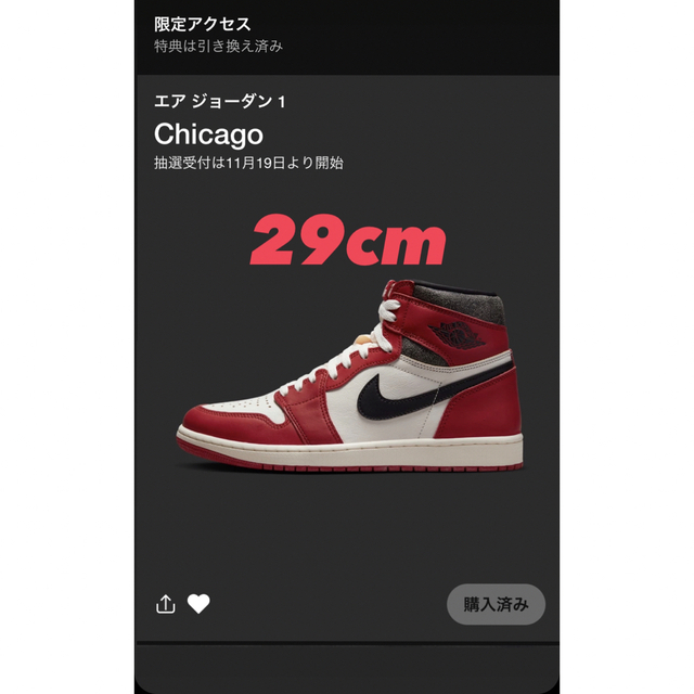 29cm Nike Air Jordan 1 HighOG "Chicago"