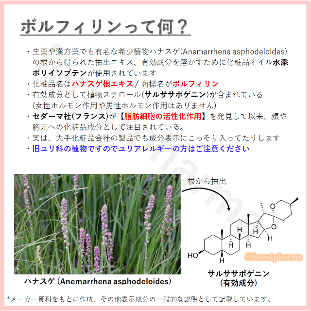 ラシュシュ ナノプラス 100g