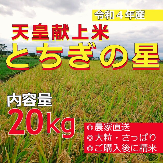 米/穀物　地元銘柄米応援販売中！　とちぎの星　白米20kg　無洗米にも対応！