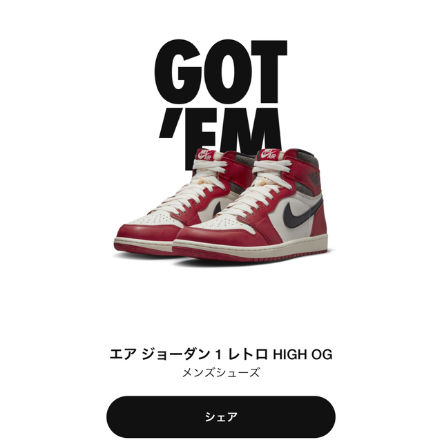 27cm AJ1 HIGH OG Lost & Found Chicagoシカゴ