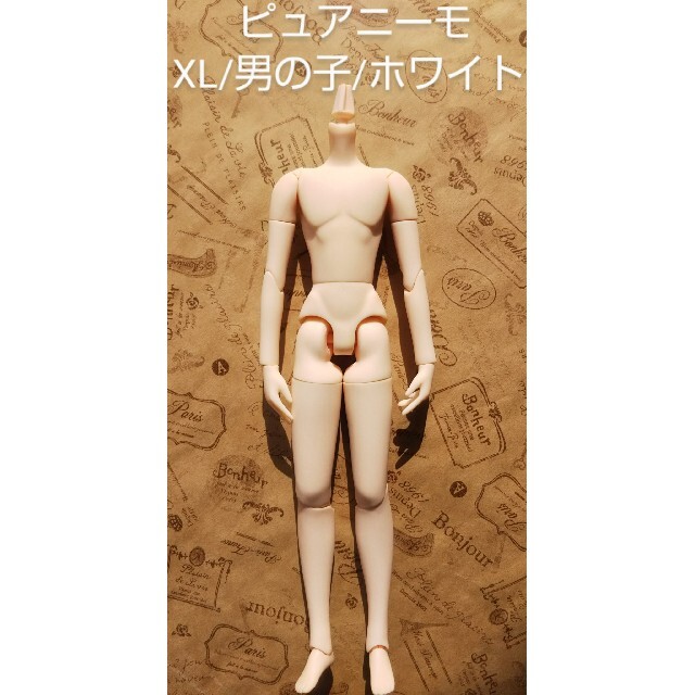 つやあり ラスト*ピュアニーモ フレクション XL/男の子ボディ/白肌