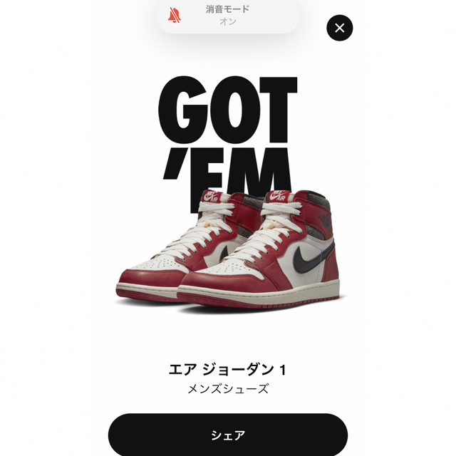 2022年のクリスマス Jordan Brand(NIKE) - NIKE エアジョーダン1ハイ