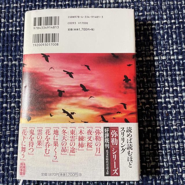 乱鴉の空 エンタメ/ホビーの本(その他)の商品写真