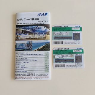 ANA 優待券(その他)