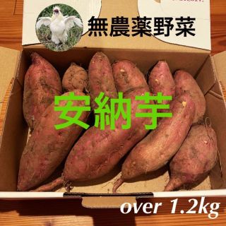 【無農薬のお野菜】サツマイモ　安納芋　さつまいも　ゆうパケットプラス約1.2kg(野菜)