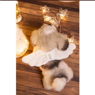 スリーコインズ(3COINS)の犬 クリスマス アイテム エンジェル 天使 スリーコインズ 天使の羽 コスプレ(犬)