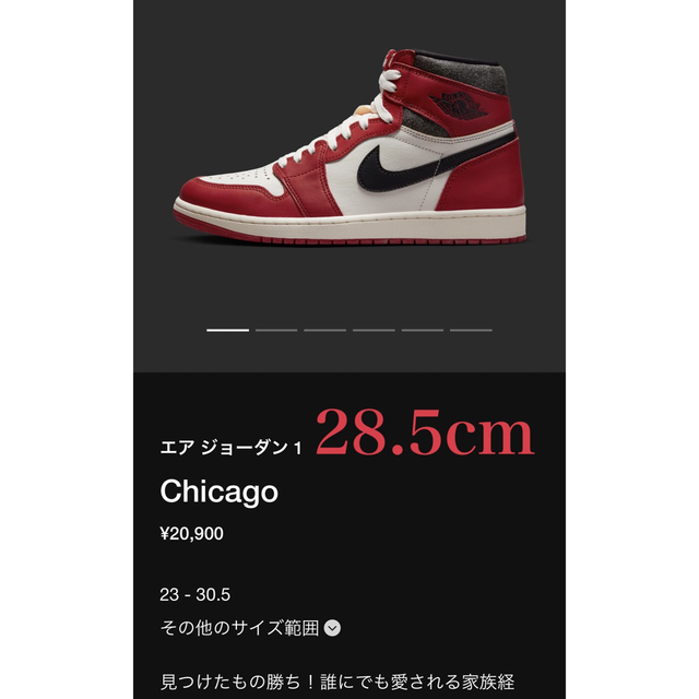 NIKE エアジョーダン1 Chicago