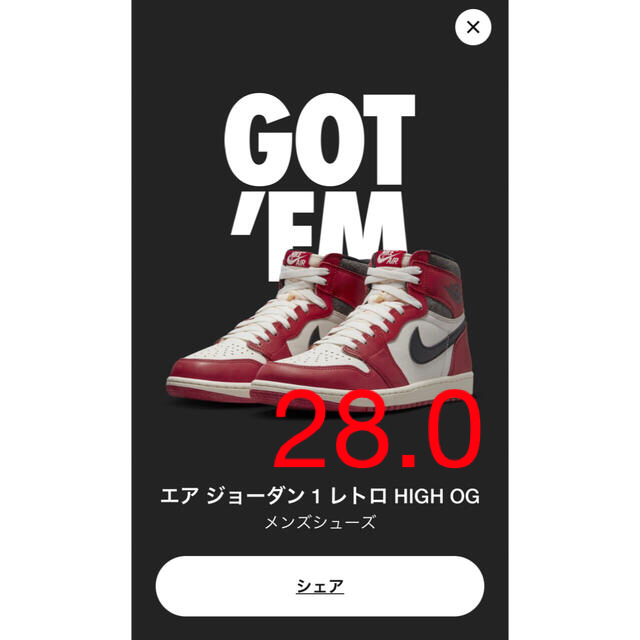 AIR JORDAN1  エアジョーダン1  シカゴ