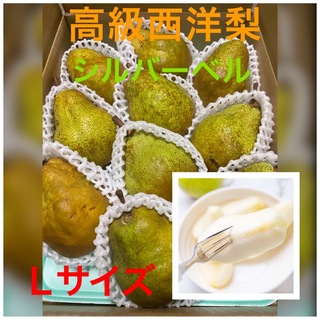 タイムセーム　15%オフ　高級洋梨　秀品＋訳あり　シルバーベル　3kg   果物(フルーツ)