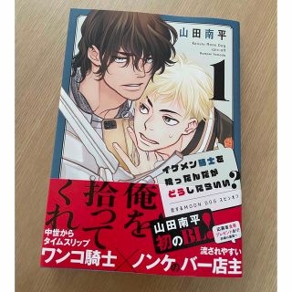 イケメン騎士を拾ったんだがどうしたらいい？/山田南平(ボーイズラブ(BL))