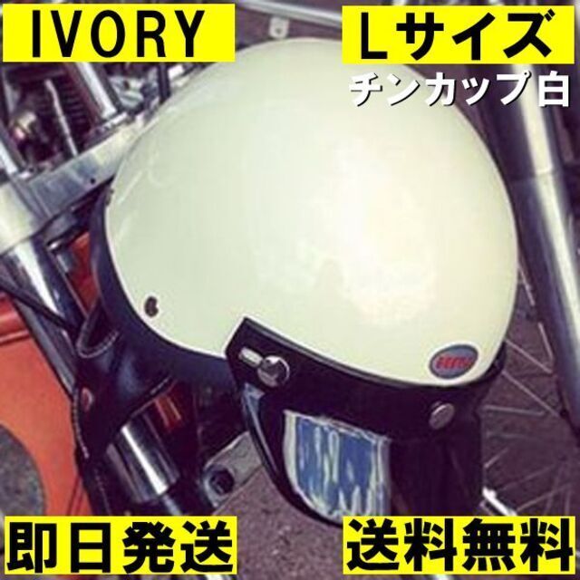 オーシャンビートル shorty4 白 Lサイズ アイボリー チンカップ白