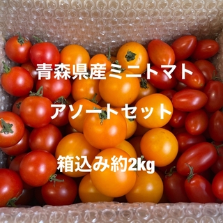 青森県産ミニトマトアソートセット　箱込み約2kg(野菜)