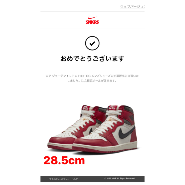 NIKE エアジョーダン1 シカゴ 28.5