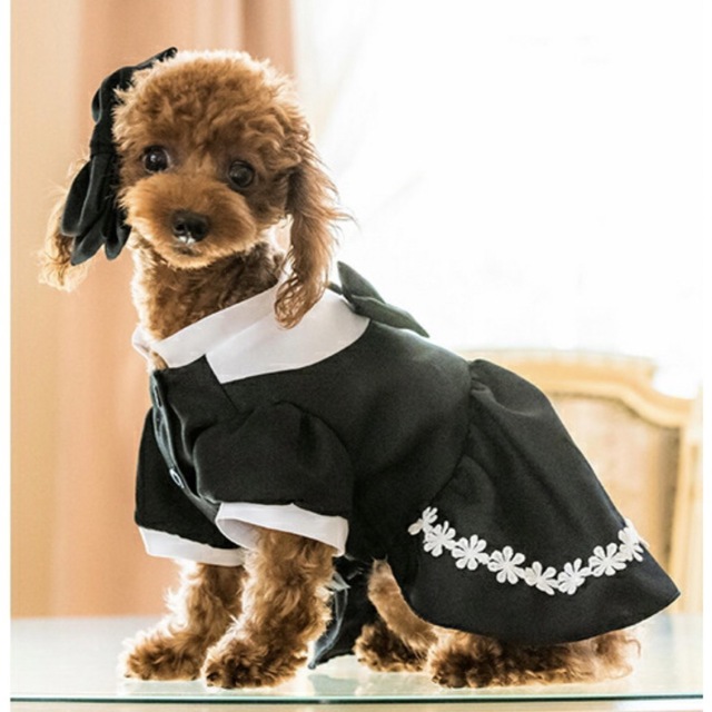 ❤️おすすめ❤️犬 ドッグ 洋服 メイド ドレス エディーエシェリー ワンピース ハンドメイドのペット(ペット服/アクセサリー)の商品写真